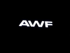 Reklama świetlna – Litery i logo 3D podświetlane LED: AWF